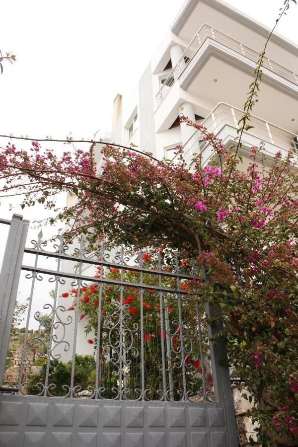 Alexandra'S Apartments Sarandë エクステリア 写真